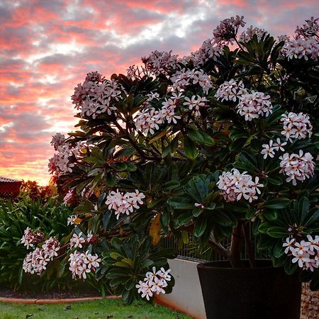 Mantra Frangipani بروم المظهر الخارجي الصورة