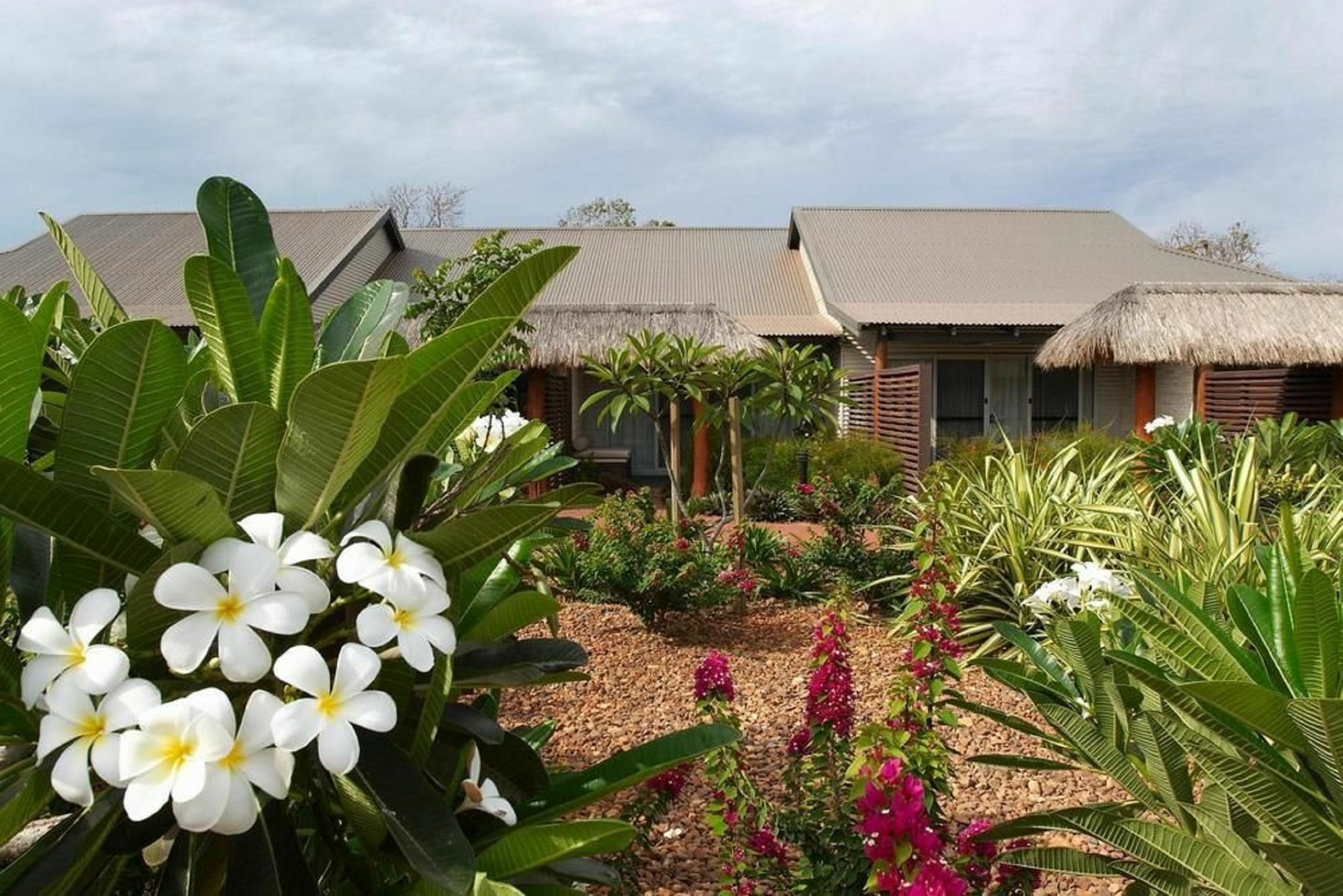 Mantra Frangipani بروم المظهر الخارجي الصورة